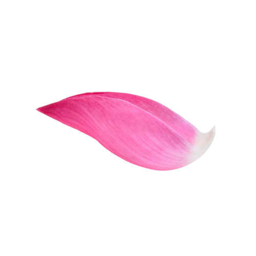 Moon Petal Healing